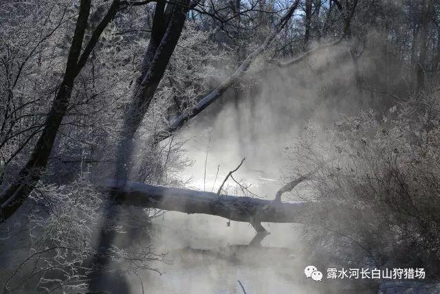 夜游战士