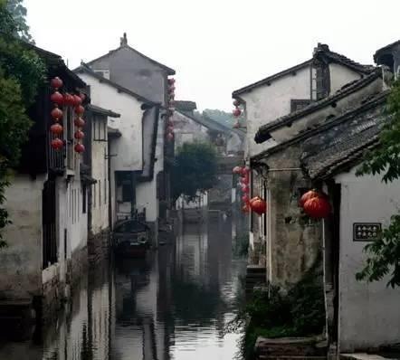 脆柿和软柿是一个品种吗游戏画面